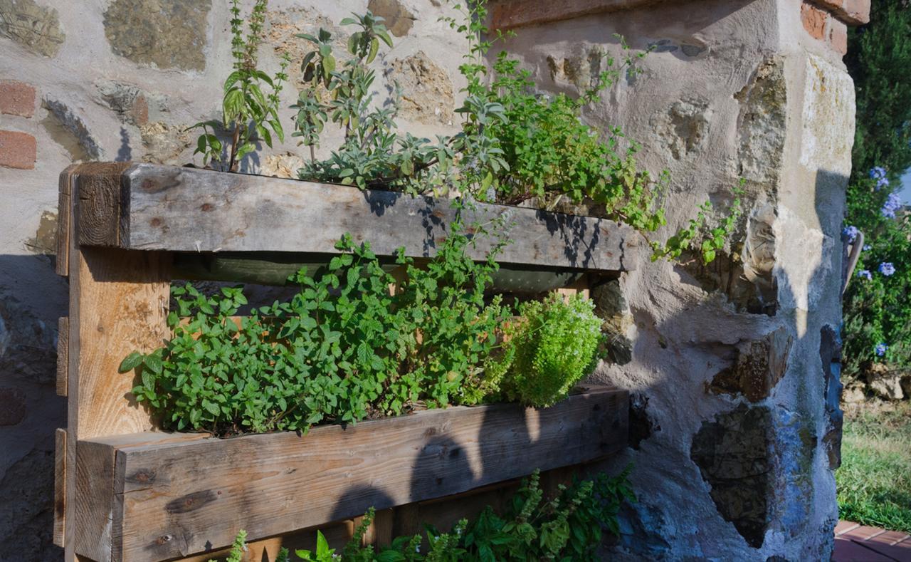 Dojo Bianco Bed and Breakfast Massa Marittima Εξωτερικό φωτογραφία